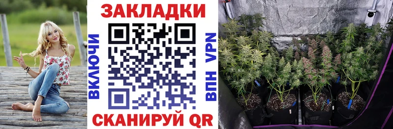 Где купить наркоту Новомосковск АМФ  Каннабис  Cocaine  МЕТАДОН  Alpha PVP 