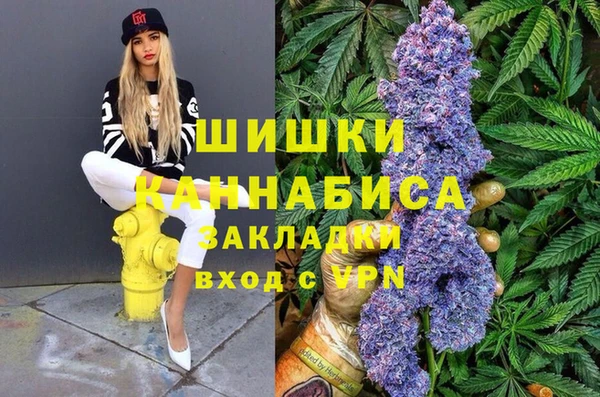 прущий лед Новозыбков